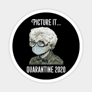 Picture It Quarantine 2020  T Shirt Magnet
